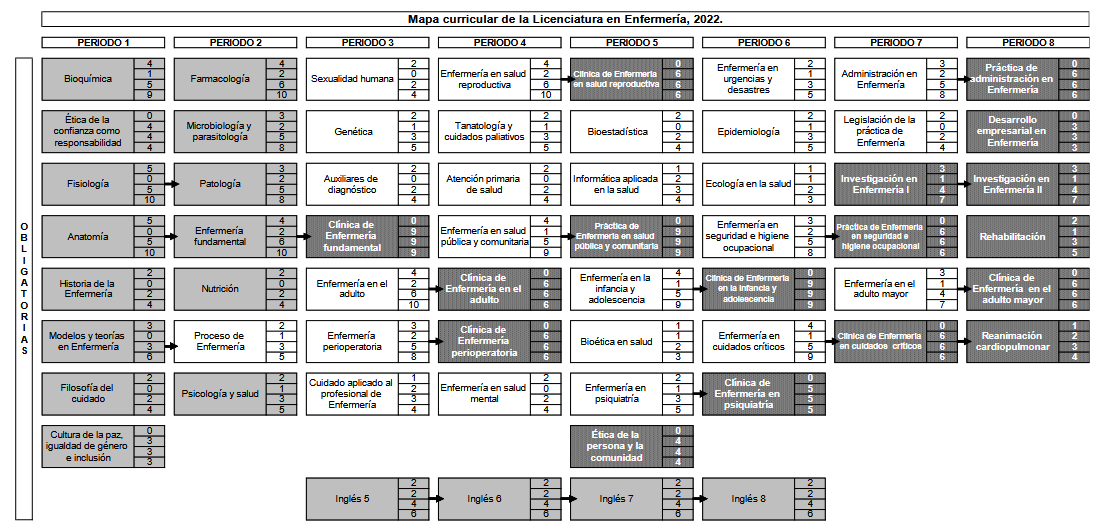 Mapa Curricular Enfermería